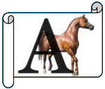 A.png