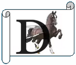 D.png