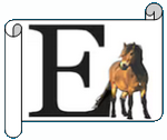 E.png