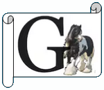 G.png
