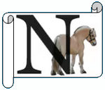 N.png