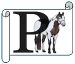 P.png