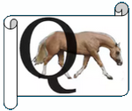 Q.png