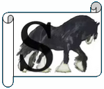S.png