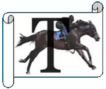 T.png