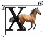 X.png
