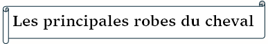 races.png