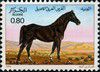 1984_cheval_0.80.jpg