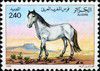 1984_cheval_2.40.jpg