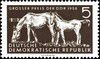 1958_jumentetpoulain.jpg