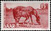 1949_jumentavecsonpoulain.jpg