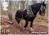 2014_forestryhorses.jpg