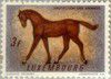 1961_protectiondesanimauxcheval.jpg