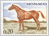 1970_angloarabe.020.jpg