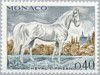 1970_lipizzan.040.jpg