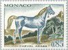 1970_pursangarabe.085.jpg