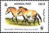 2000_przewalski150T.jpg