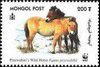 2000_przewalski200T.jpg