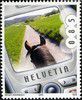 2005_tetecheval.jpg