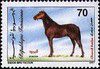 1997_berber70.jpg