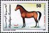 1997_pursangarabe50.jpg